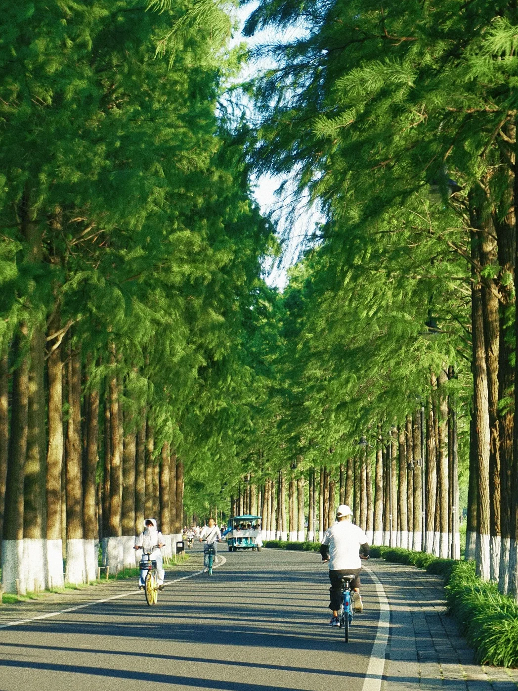 武汉东湖骑行80次🚴总结出来的精华路线