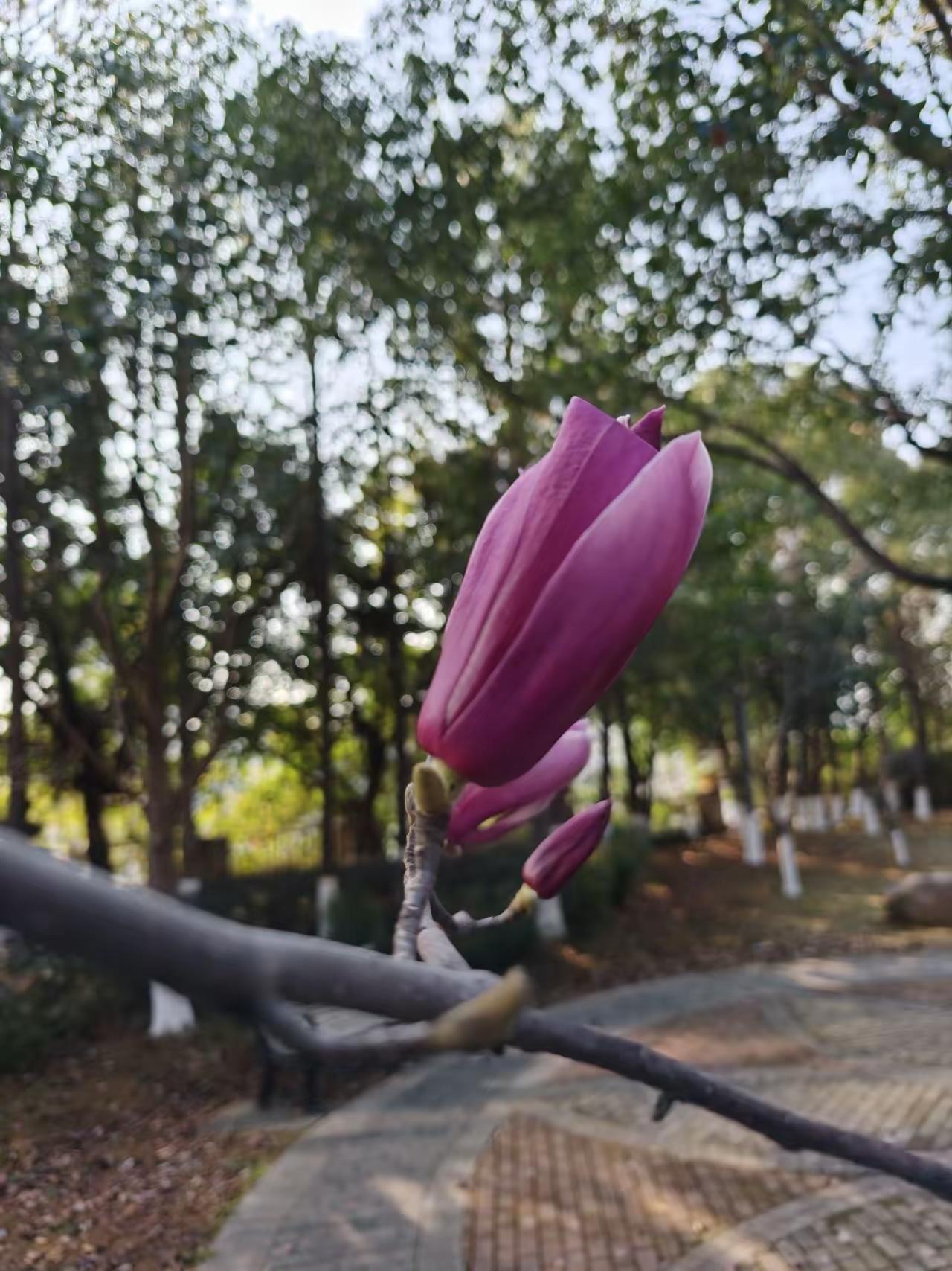退休以后才明白:人生两大境界，一个是知道，一个是知足。

知道自己想要的，就不再