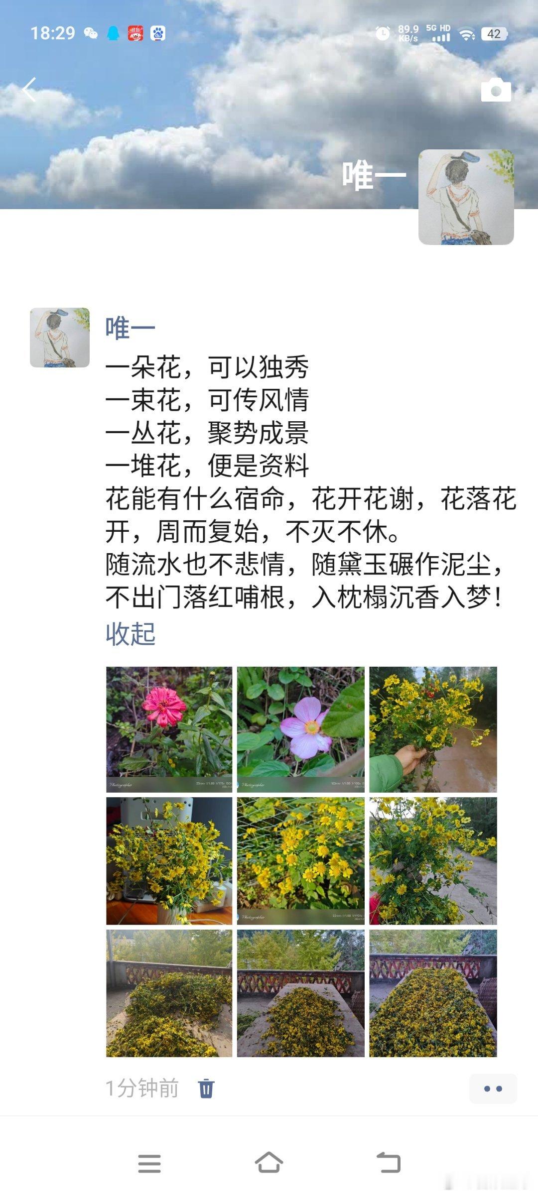 一朵花，可以独秀一束花，可传风情一丛花，聚势成景一堆花，便是资料花能有什么宿命，