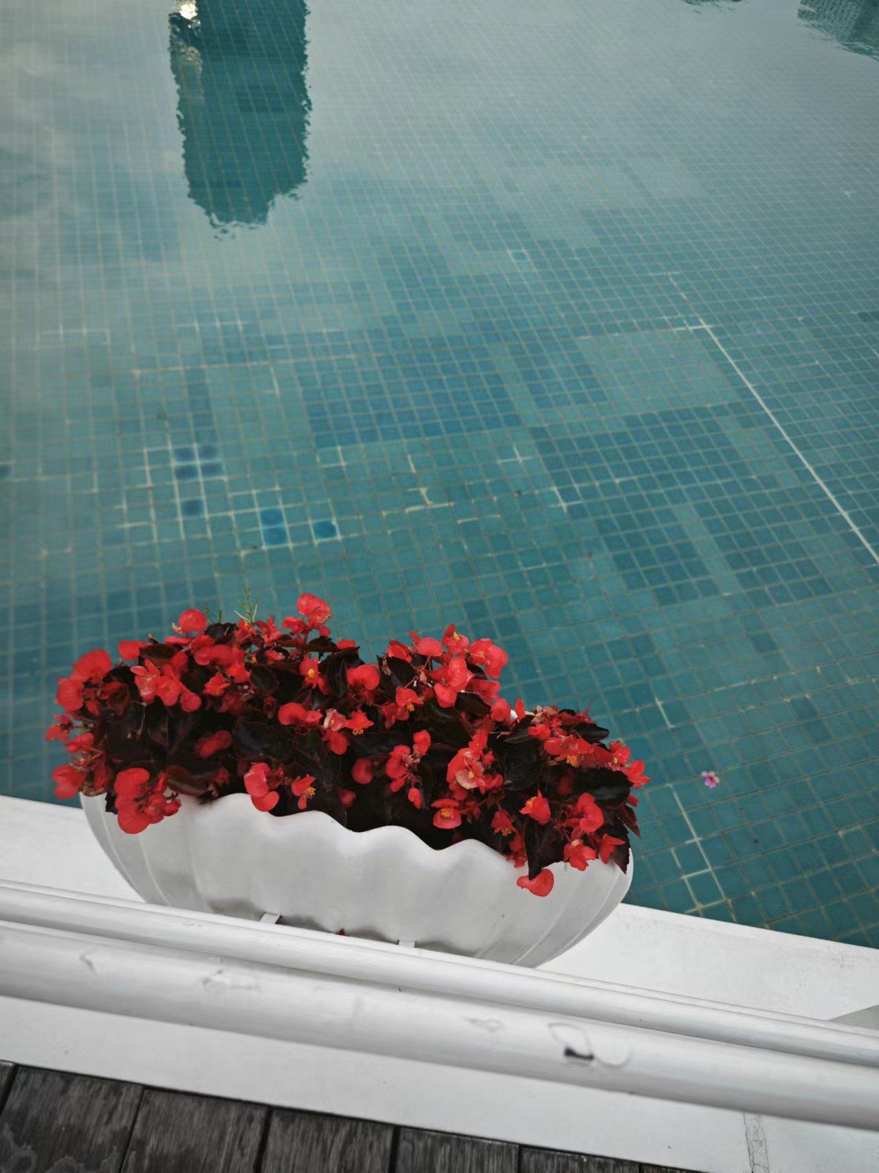 清晨出门买早点，看见小区门口的修鞋匠老王正蹲着给一双皮鞋钉后跟。他手里的小锤子敲