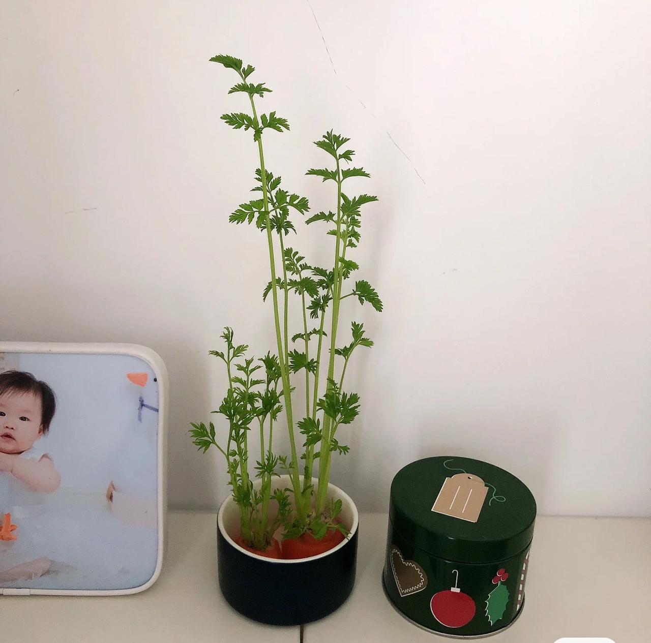 静止。
现在的生活对于四十岁的我来说，
就是还成，
虽然没钱但也没债也不至于为想