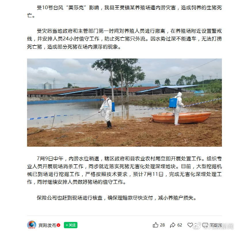 【#官方通报宾阳一生猪养殖场受灾#：预计7月11日完成无害化深埋处理工作】据宾阳