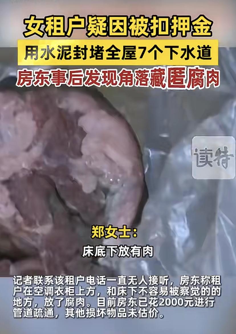 河南郑州的郑女士，去年3月把房子租给一个女孩。本来今年4月就到期了，结果清明前这