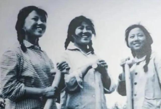 1974年，女知青王萍正在田地干活，林场工人刘大军过来找她：“我昨天抓了一只野兔