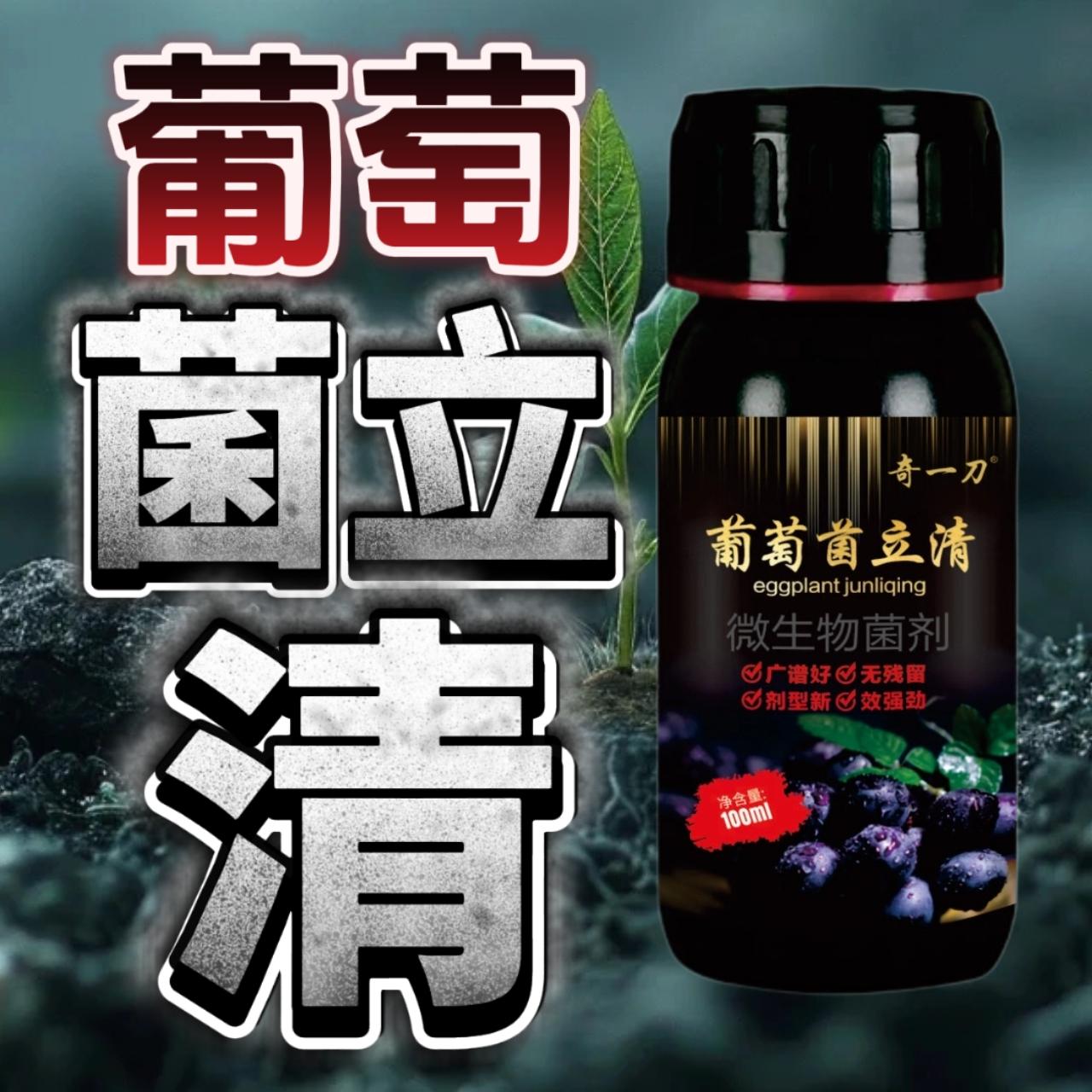 葡萄萌芽前后管理