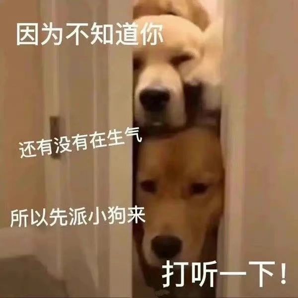 宝贝不要生气了🥺再也不敢了🥹