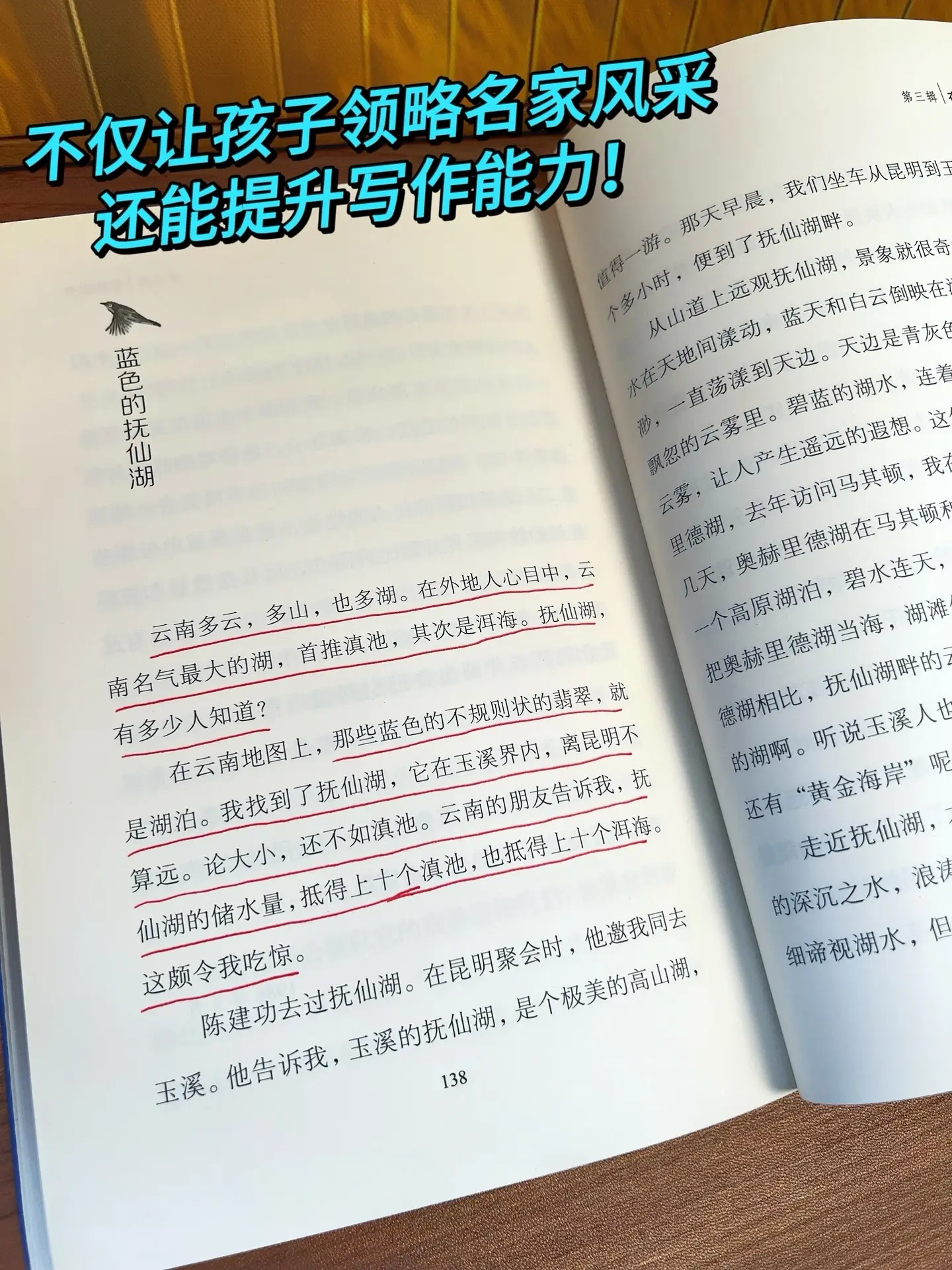 文笔绝了！3-6年级的小学生都去读！《树孩》是一个非常美好温暖的故事！...