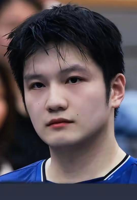 奥运会冠军:     他有三个。

世乒赛冠军:     他有九个。

世界杯冠