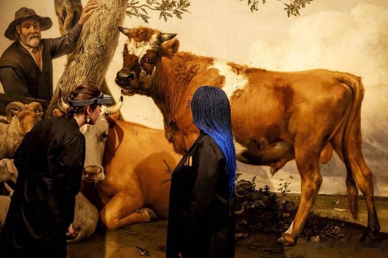 牛蛋蛋太大遭“修小”！17世纪名画《公牛》隐藏秘密曝光 海外新鲜事 荷兰海牙莫瑞