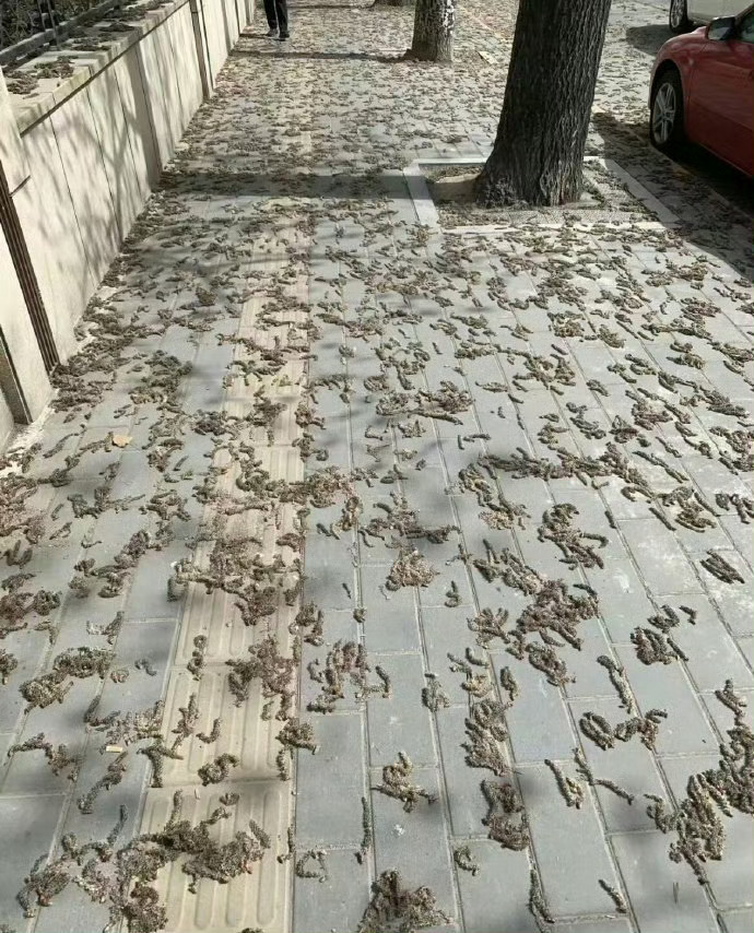 不是，真的到了月薪3500的时代了吗 ​​​
