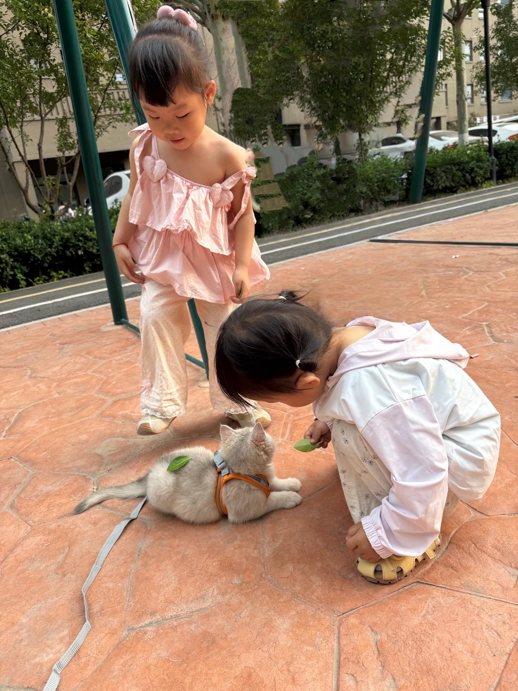 出门社交一下叭
