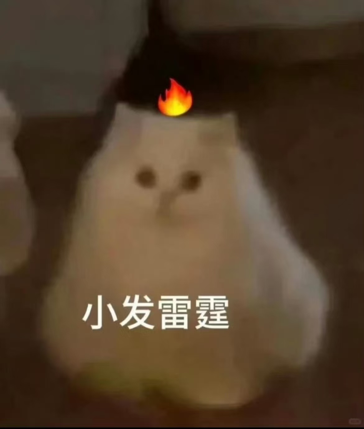我举报这个人，她嫌弃账号[怒] ​​​