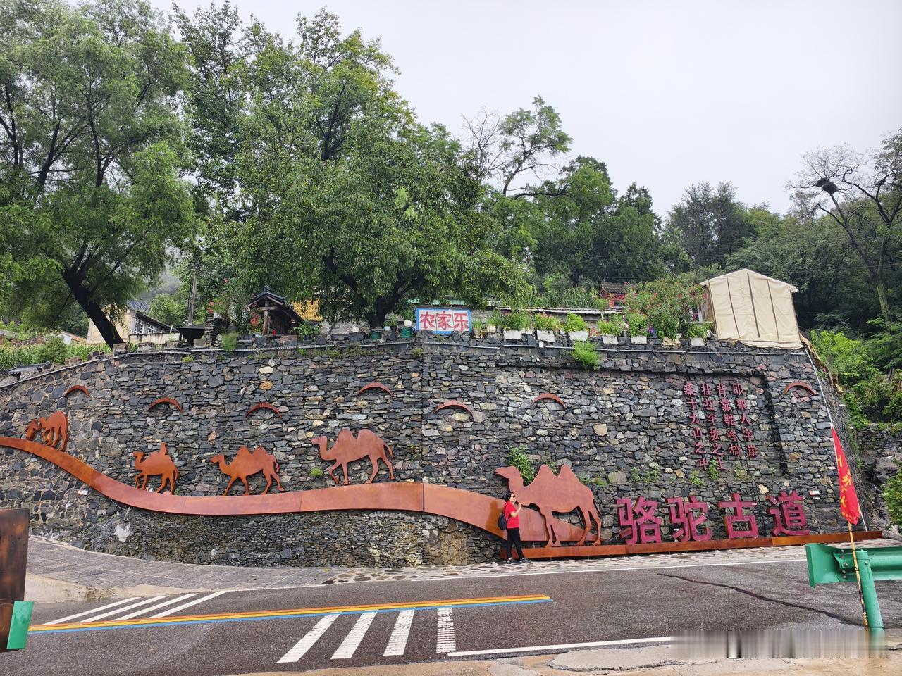 秋日生活打卡季 山西偏关猫姐本来大清早计划去大汖古镇玩，结果因为下雨🌧不营业，