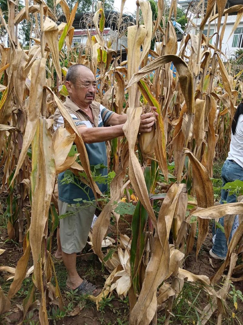 一个民族，如果医院人满为患，那就说明这个民族不健康；
一个民族，如果说教育成为了