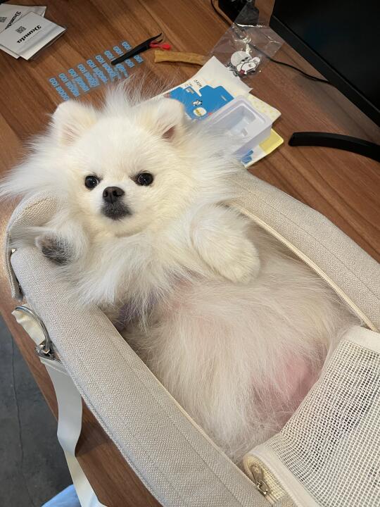 这个包是这么用吗