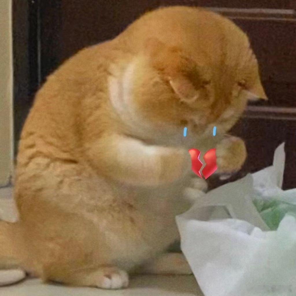 很多狮子座自己都没有发现，纵然在恋爱当中再争强好胜，可是分手之后就会无意识陷入到