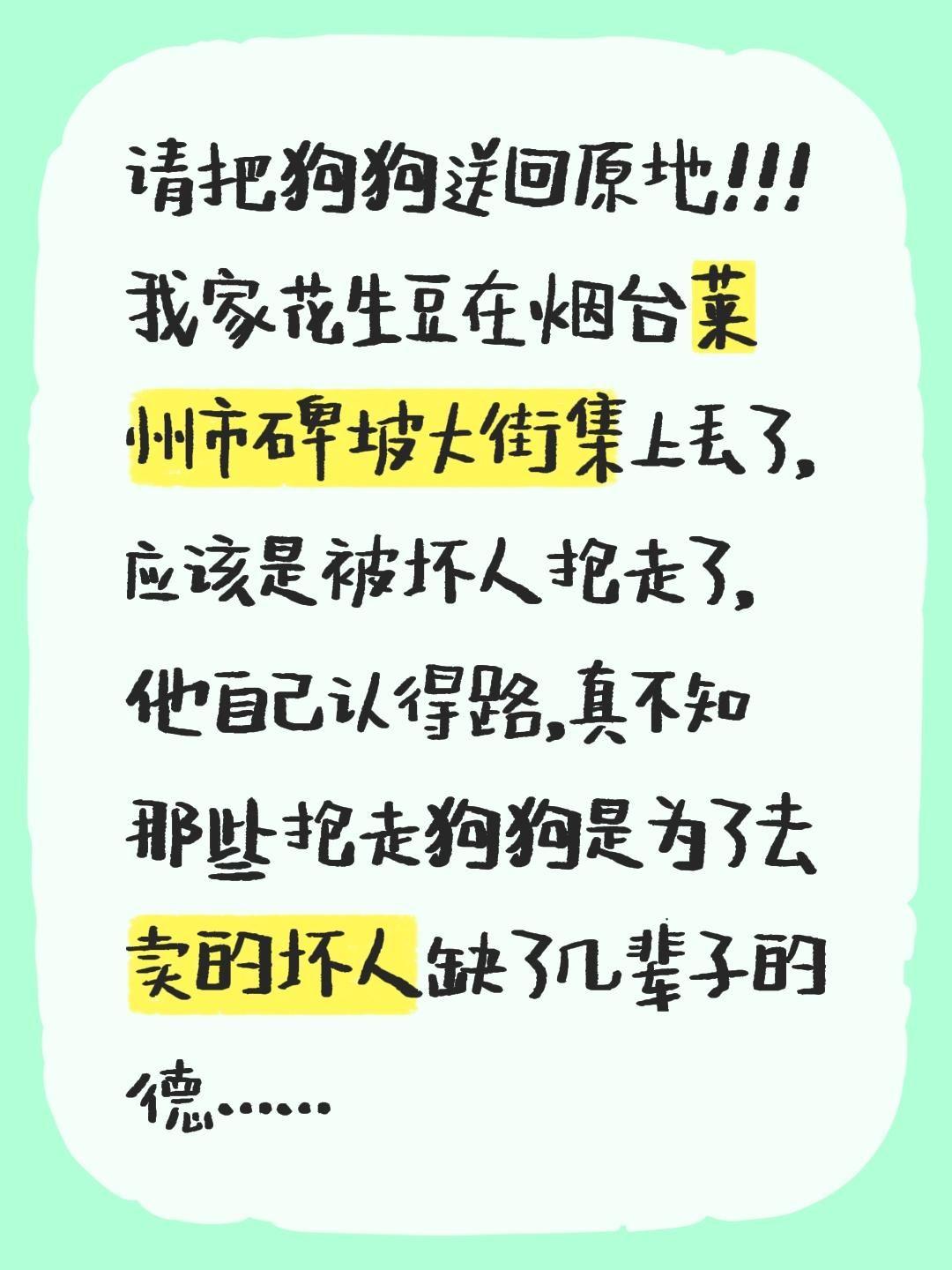 我评论了 的作品: 我家花生豆在烟台莱州市碑坡大街集上丢了，应该是被坏...