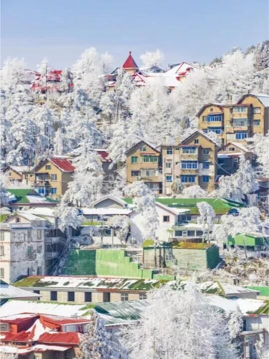 冬季想去庐山看雾凇雪景的姐妹，听我10句劝