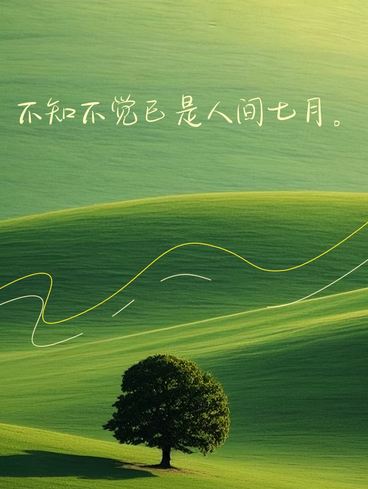 时钟在走 日历在翻 不知不觉已是人间七月远去的是浅夏的温柔吹来的是盛夏的相逢告别