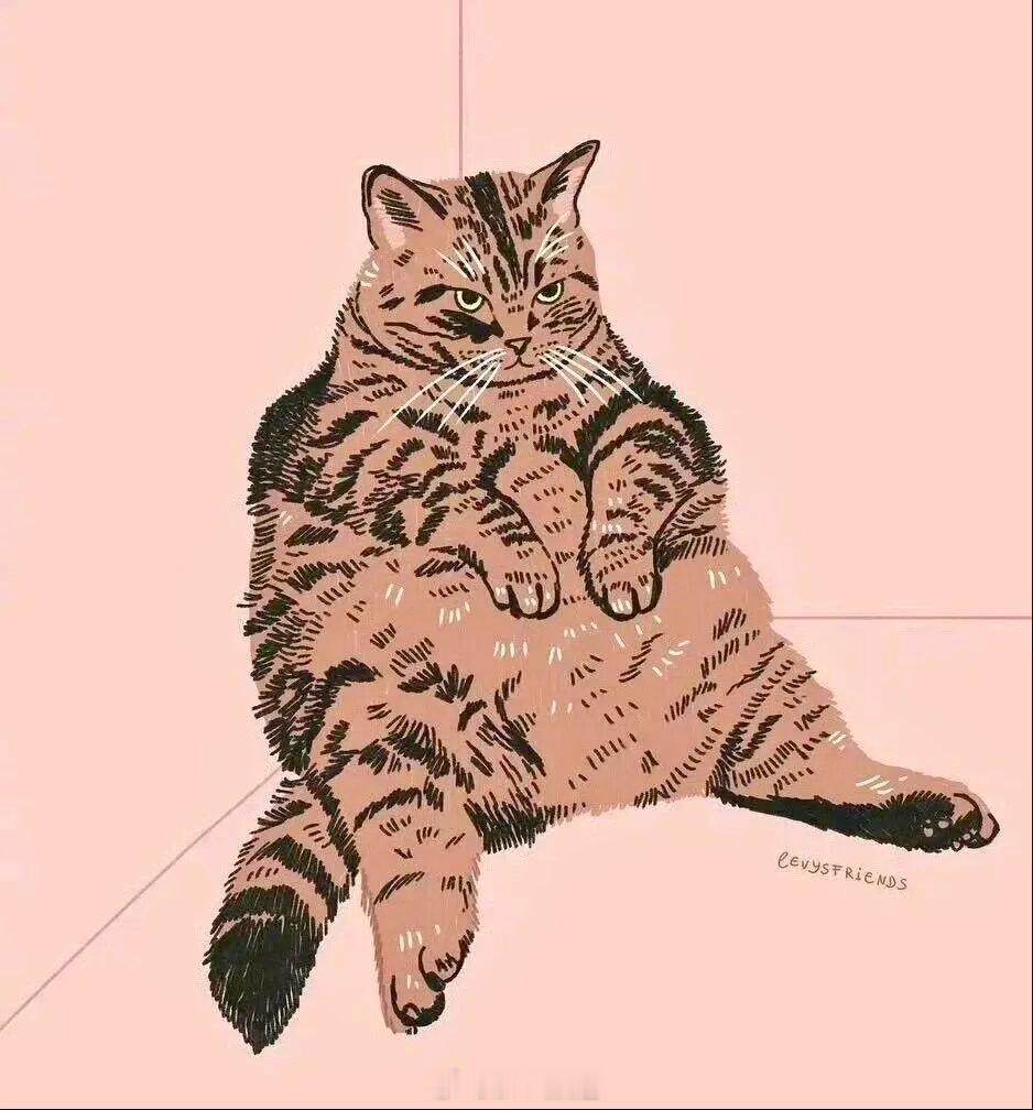 Alissa Levy是一位德籍乌克兰裔插画师，她笔下的猫咪个性十足、温暖又治愈