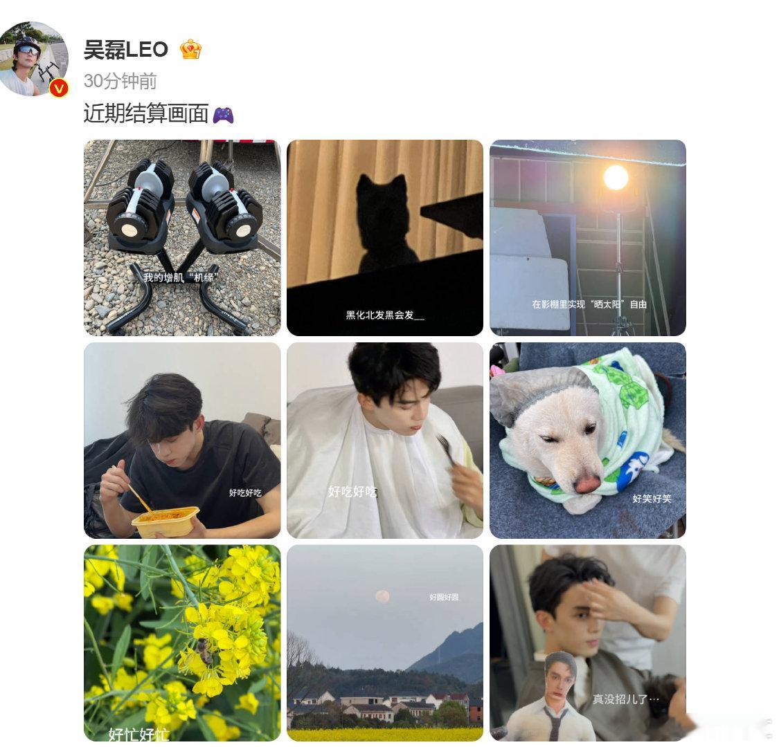 吴磊近期结算画面日常全公开，宠粉不打烊，吴磊也太会了吴磊这完全报备日常吴磊叠词p