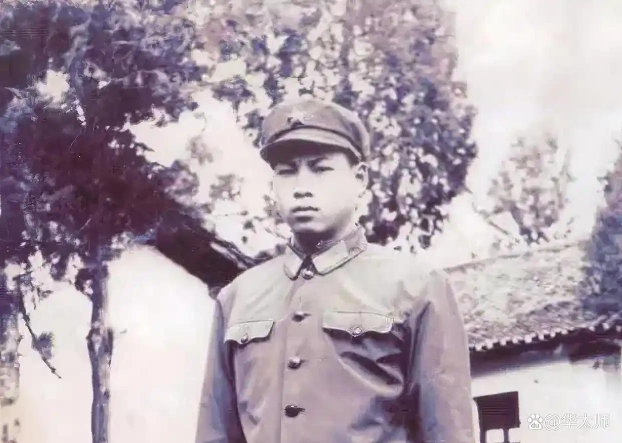 1944年，情报员文国才不幸被捕，一番严刑拷打后，一个日军翻译官又突然上前扇了他