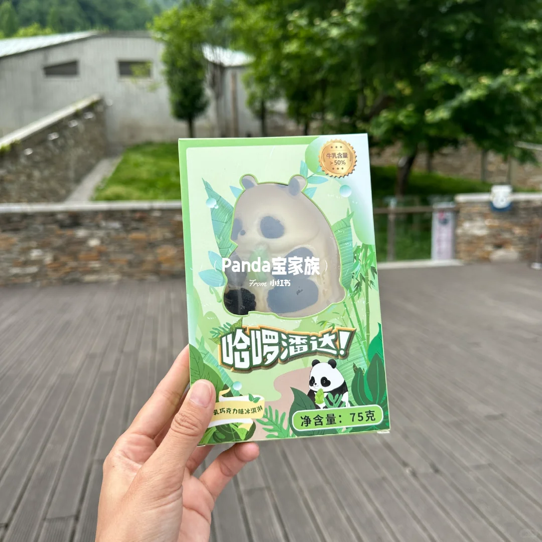 6/13 卧龙神树坪基地的熊猫🐼雪糕
