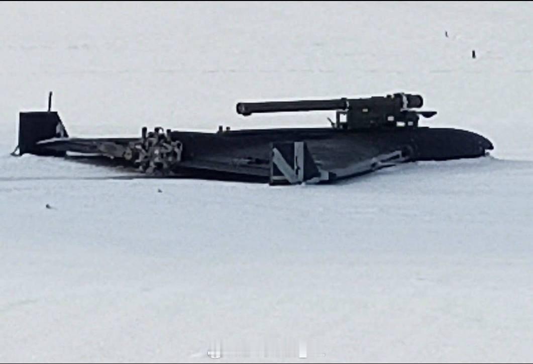 挂载有便携式防空导弹的“天竺葵”无人机。 