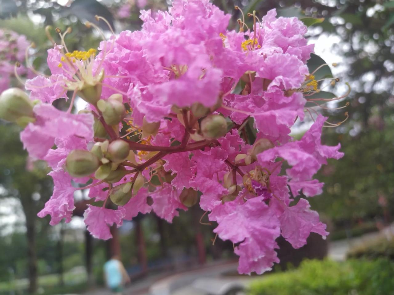 女性缠足探源
(二)明朝🈲令分贵贱，贱民阶级女不缠。《浙江风物志》记载，浙江东