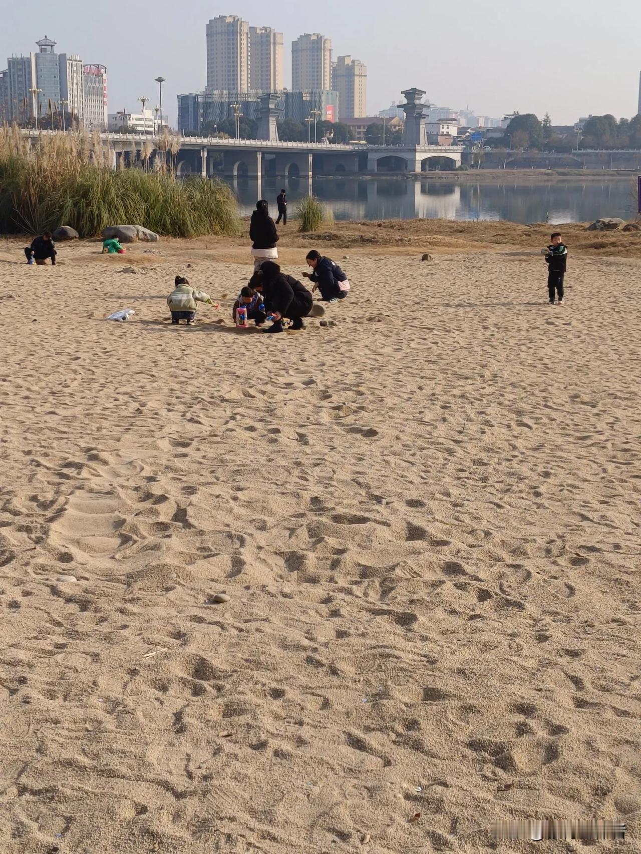 我的2024年度照片