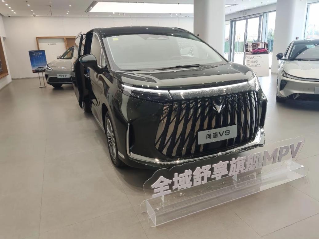问道V9，属于二十多万起家用商务MPV，磁流变悬架，过弯、烂路颠簸控制到位。二排