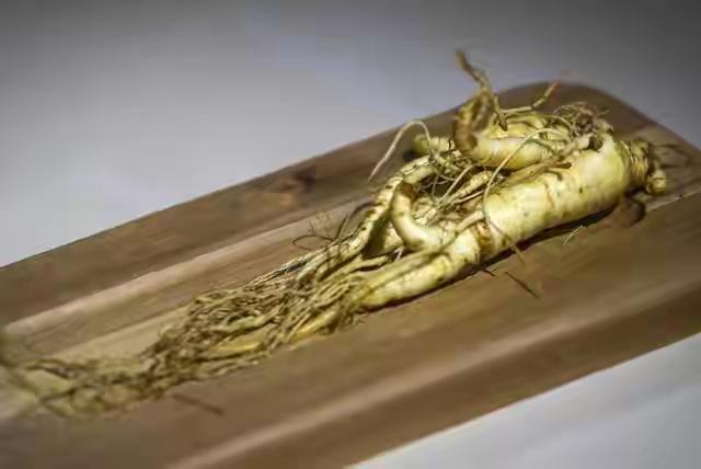 对标法国红酒，吉林人参，也可以打造全球硬通货！
 
法国红酒凭什么征服世界？
不