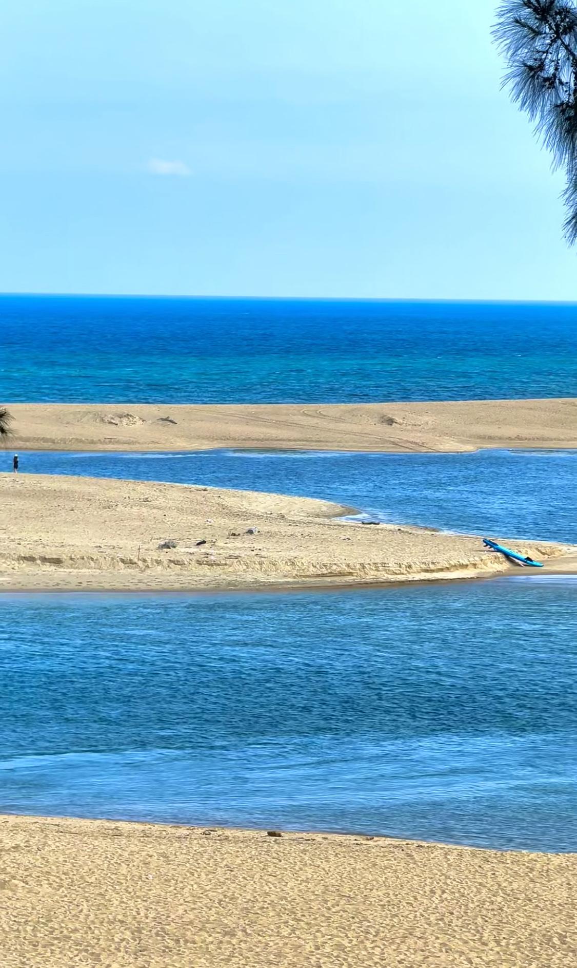 人一定要大量读书！

我发现长期读书的人都有一个共性：

无论到了什么年纪，眼神