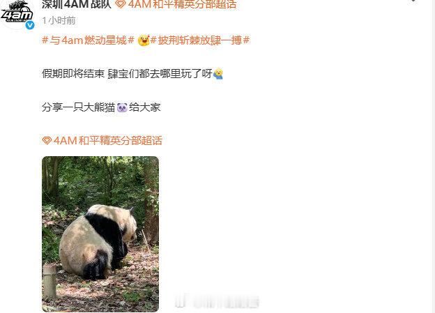 路路酱也想看大熊猫想看花花和平精英职业联赛 2026pel