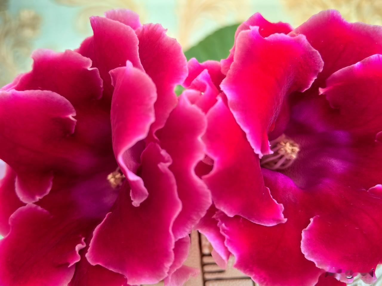 老年生活感悟：常怀感恩之心，定然会被岁月紧紧拥抱。
 
我们到了晚年，越来越体会