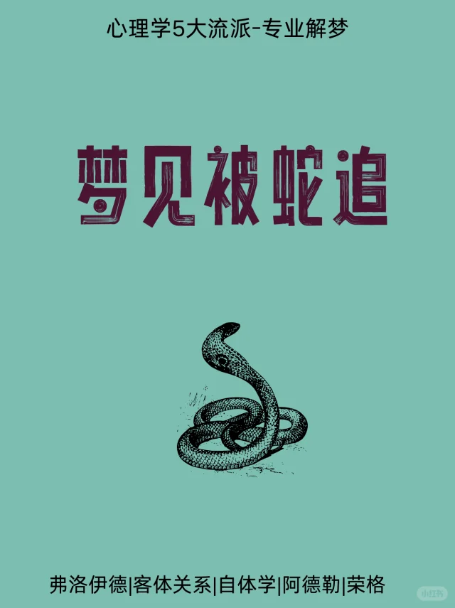 梦回蛇影,被咬与获救的双重梦境解析 梦回蛇影,被咬与获救的双重梦境解析