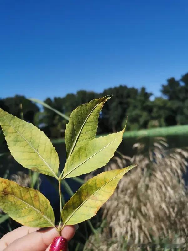 对联讲究对仗工整、意境相承，面对“一山一水一风景”这个上联，有不少下联可选。
比
