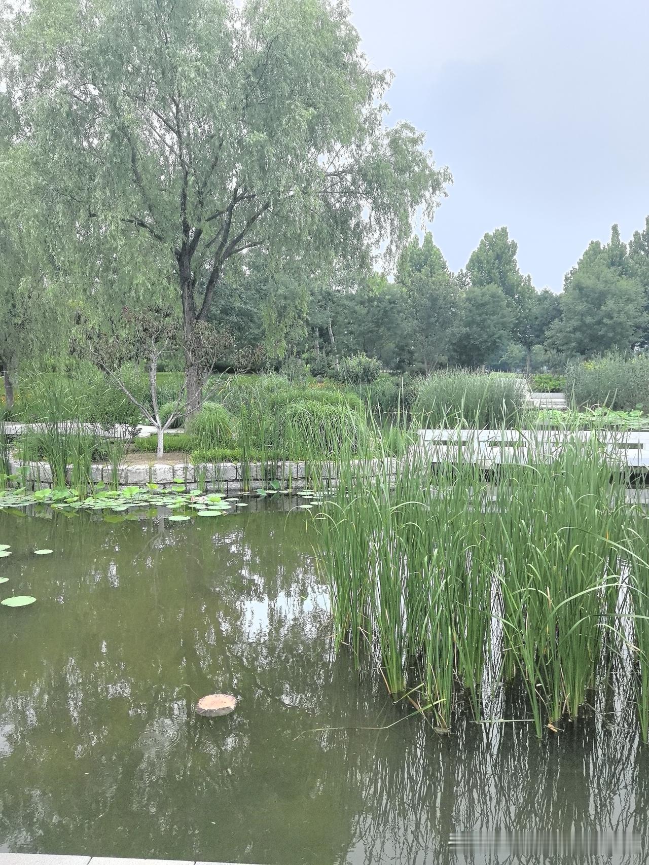 没点儿实权推进工作真难[捂脸]
好在这工作只关系到单位内部职工
好在跟他们打交道