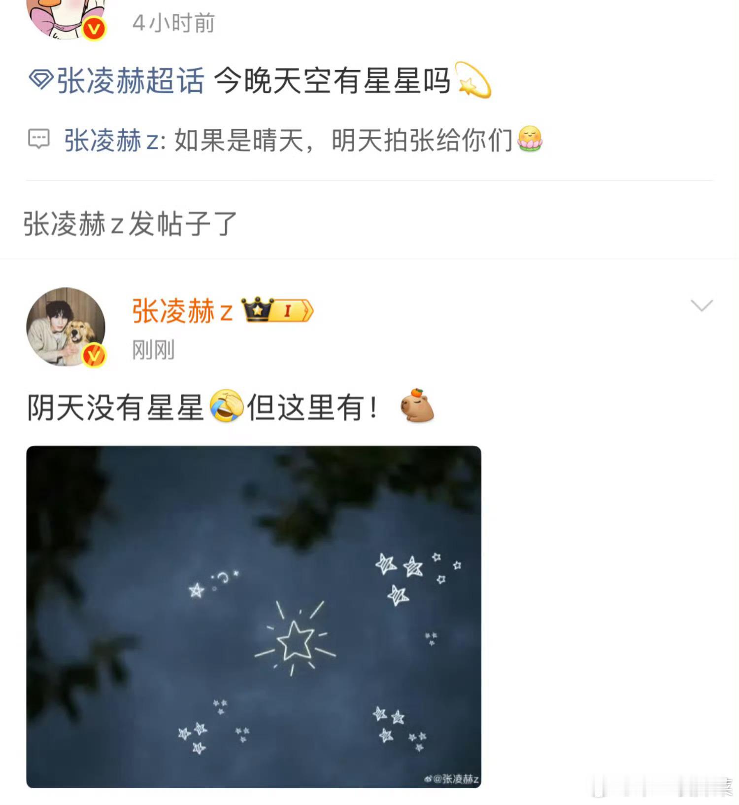 张凌赫细节这块没得说，满分男来的张凌赫回复谢征