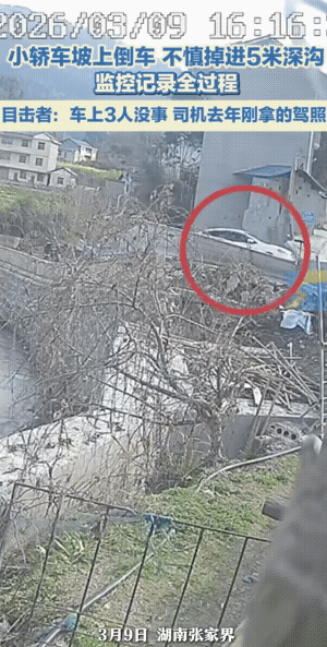 去年刚拿到的驾证，估计是跑了不到一年的新车吧！
人虽然没事儿，可好似有人从车里摔