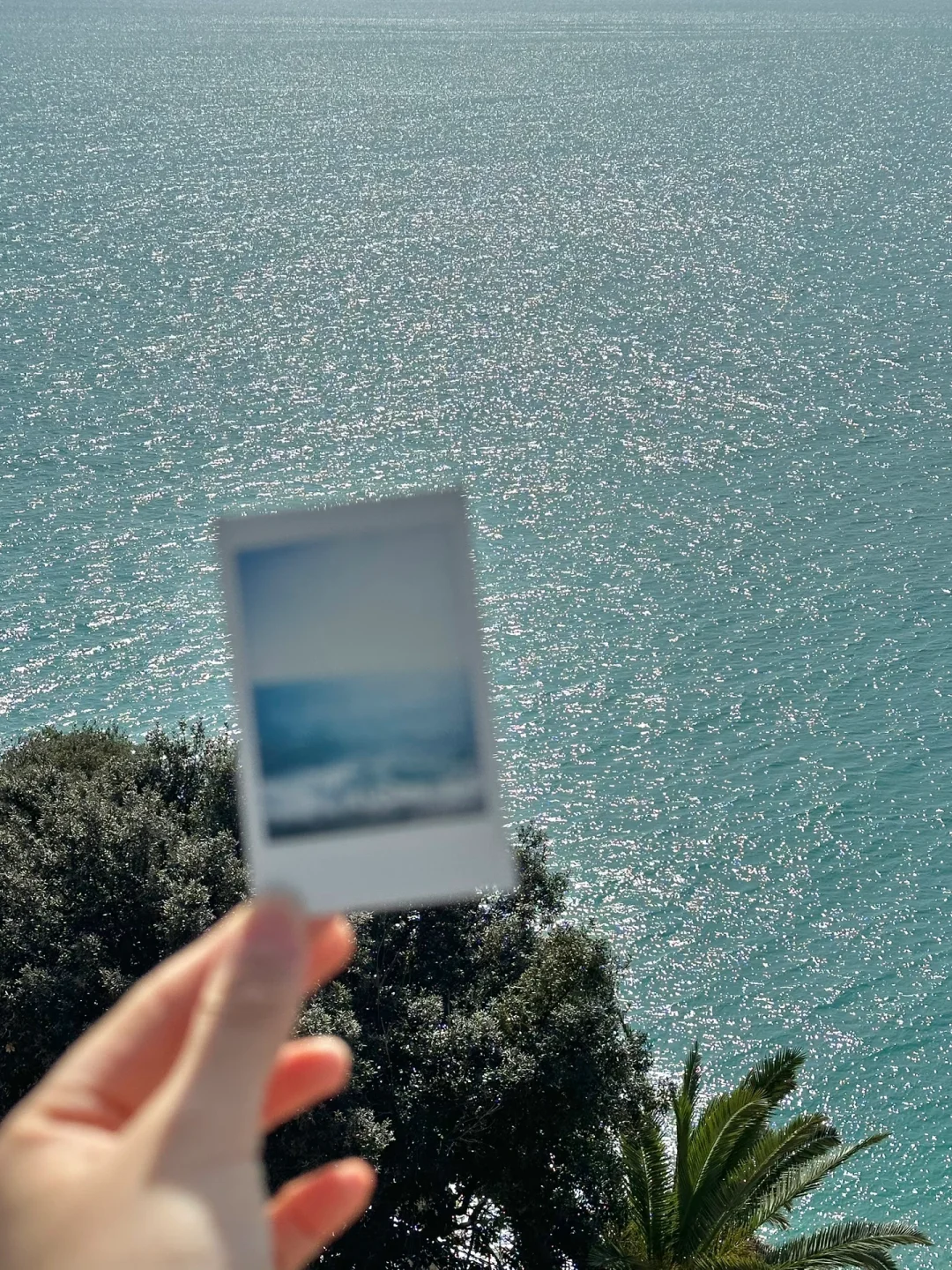 抽奖｜送你一张尼斯的海 Ⅱ 🌊