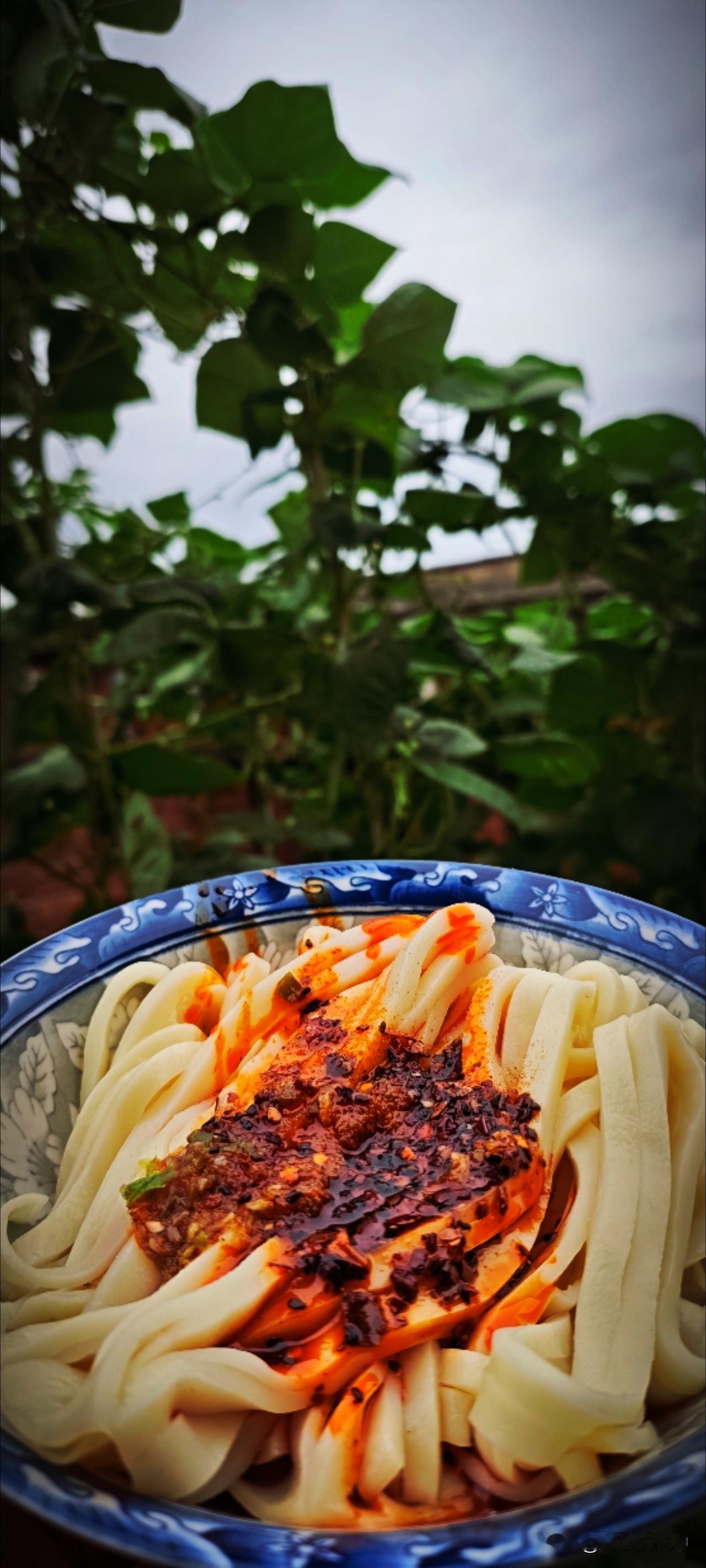 进门，老妈的声儿就招呼着：洗手吃饭，你爸给你蒸了面皮。哇哦，手机先吃！老爸笑眯眯