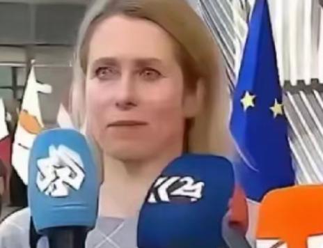 欧盟的官宣再次震惊了全世界：从今年开始，一切与中国有关的科研机构，都将没有资格参