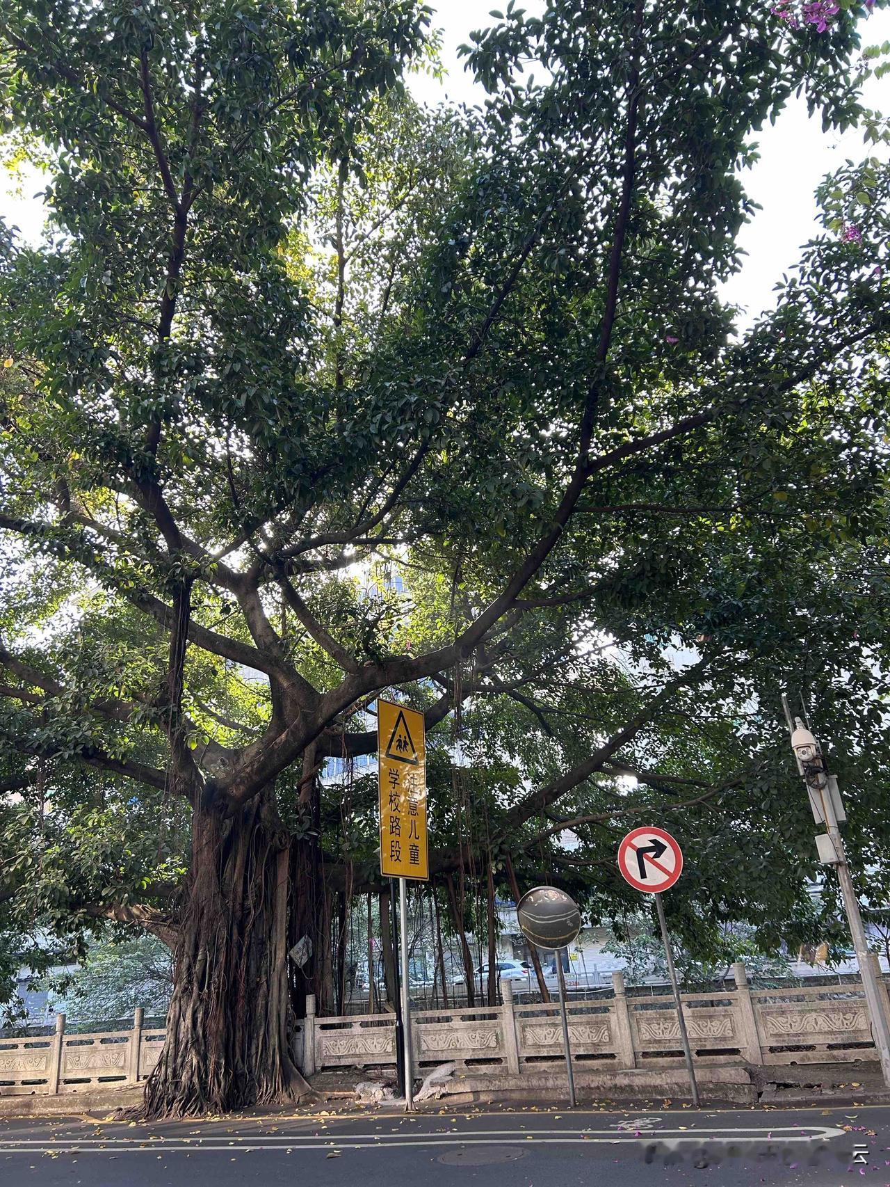 执行力大于一切！不接受反驳！

人的生命在于运动，这句话应该很多人都听过！

