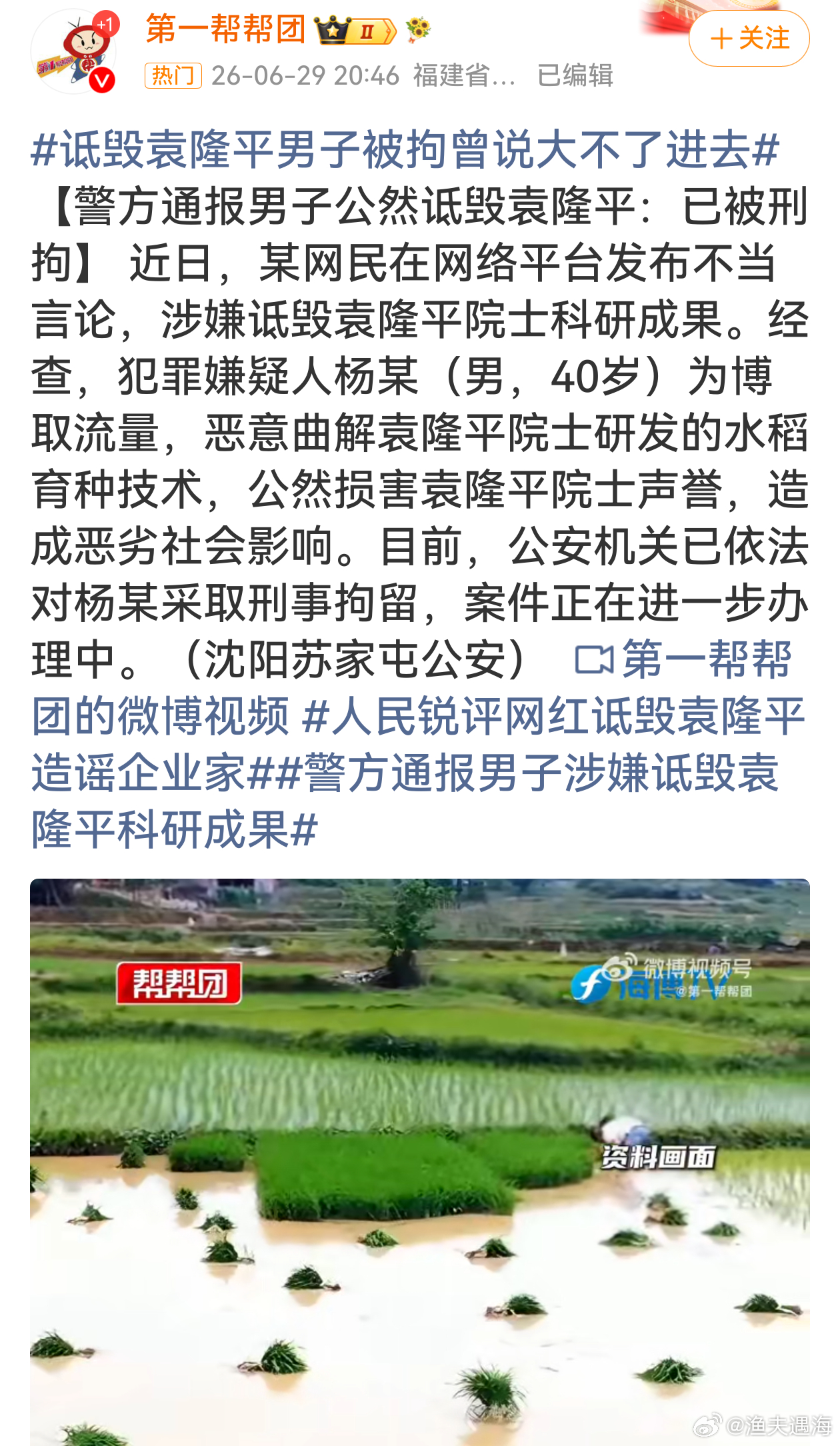 人民锐评网红诋毁袁隆平造谣企业家杨某嚣张诋毁袁老科研成果，声称不怕坐牢，如今刑拘