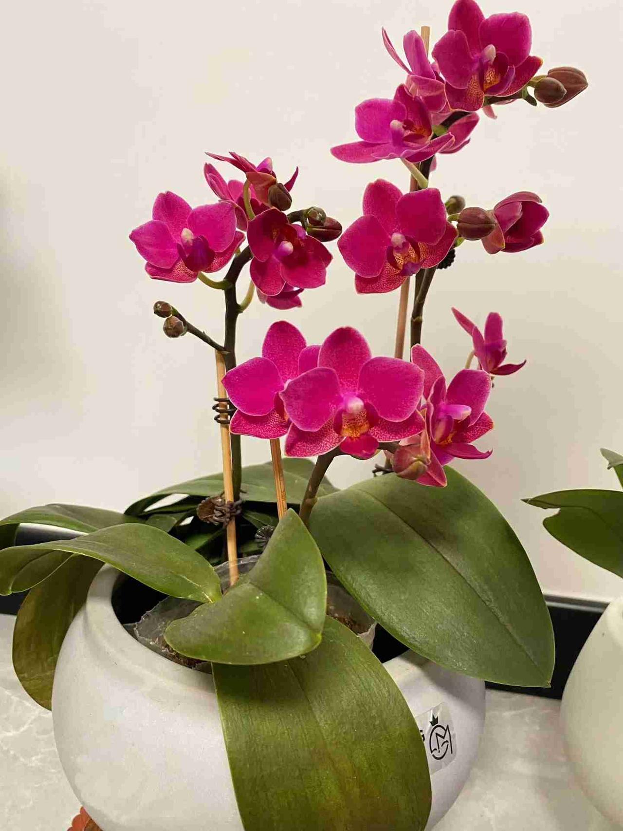 我的今日状态：😁轻松愉快
我这里的天气：☀️晴天