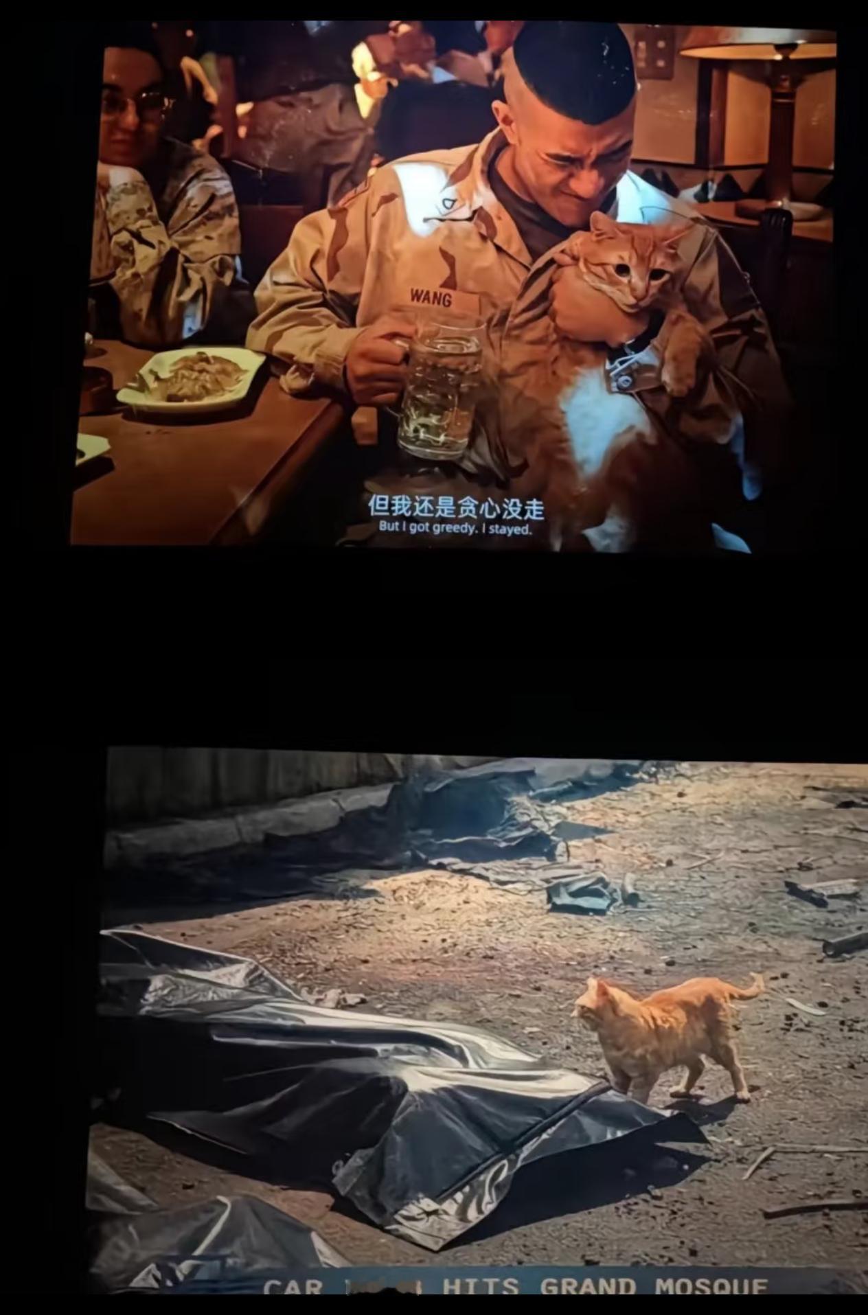 龙餐馆里的扎心细节还挺多电影欢迎来龙餐馆