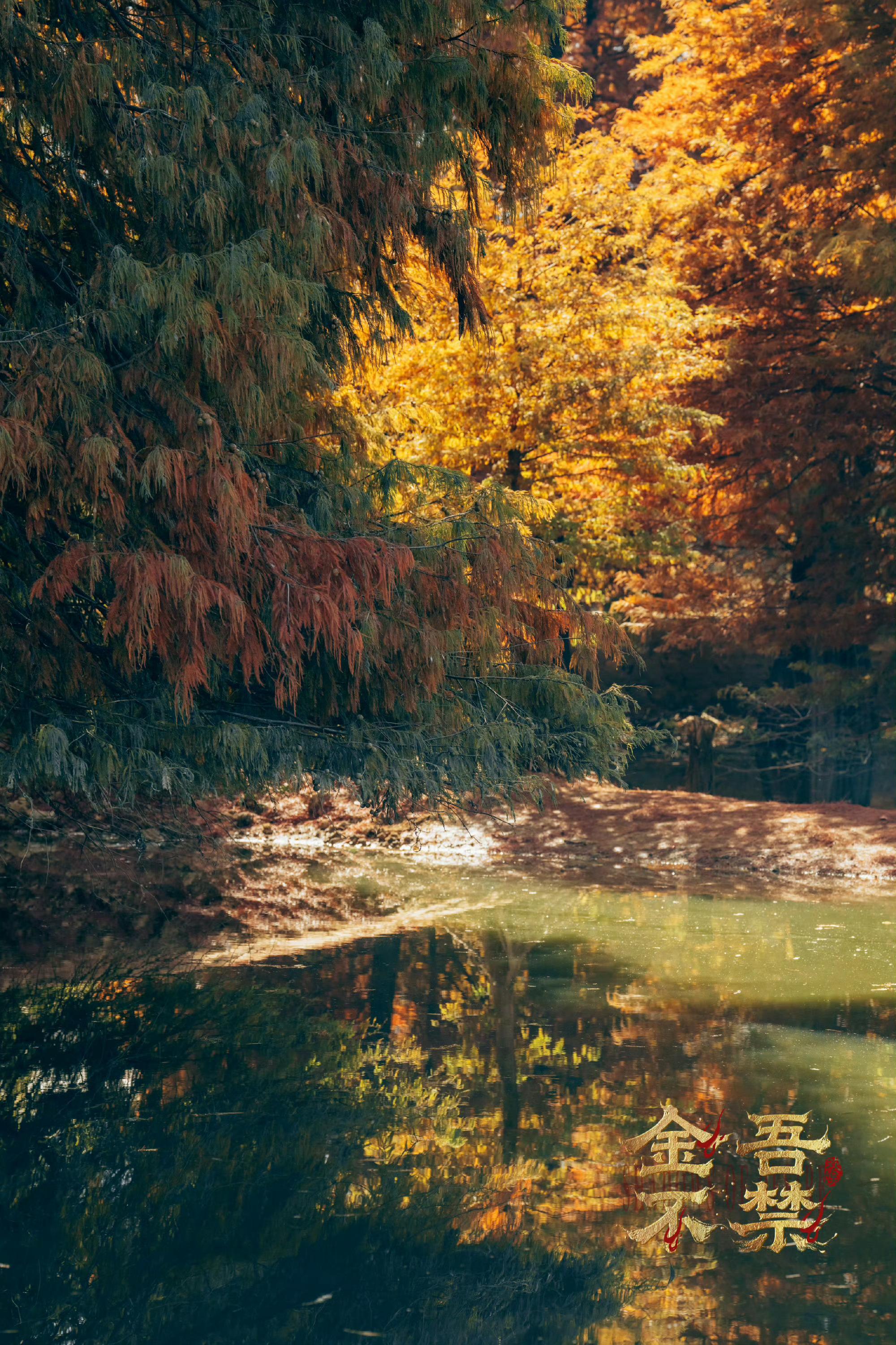 于正写的新歌花开花落 于正写了新歌《花开花落》，并回答不是写给《金吾不禁》的，而