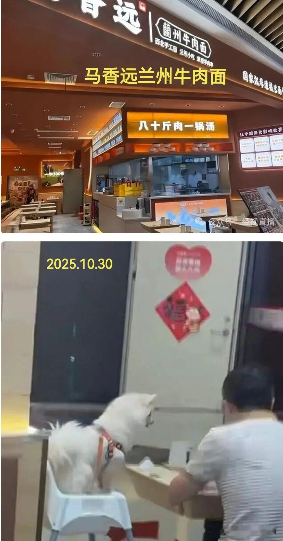 又有人带狗进饭店并让狗上桌一起用餐，真的是让人难以理解。

这些人到底是怎么想的