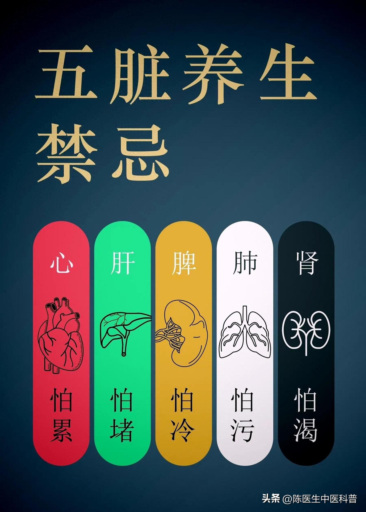 掌握五脏养生禁忌，迈向健康长寿之路